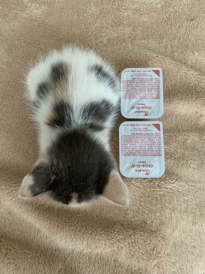 Dos salsas de Chick-Fil-A