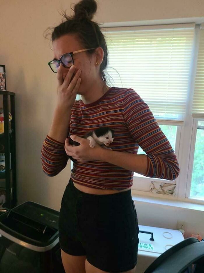 Ayer, conocí gatitos recién nacidos. No hace falta decir que fue una experiencia emocional