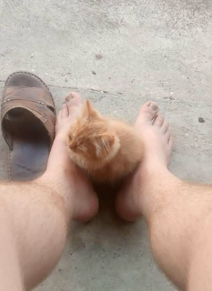 Si quepo, me siento