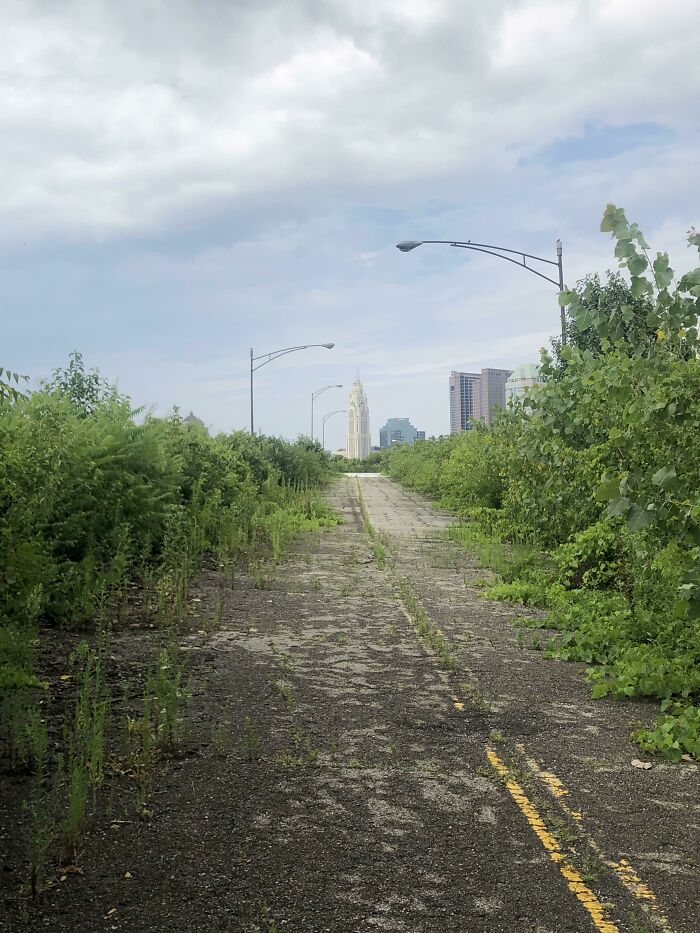 ¿Alguna vez vieron una autopista abandonada?