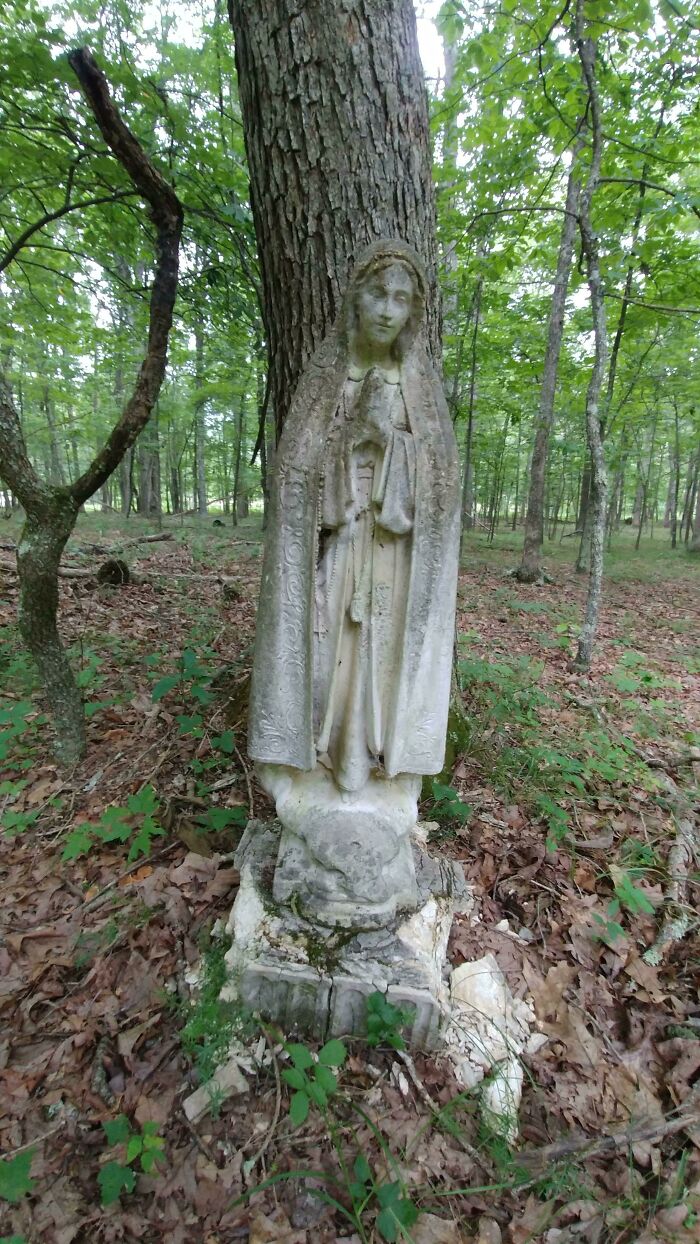 Lo encontré en medio de una caminata a través de los bosques en medio de la nada, al oeste de Virginia. No hay nada más alrededor, ni edificios