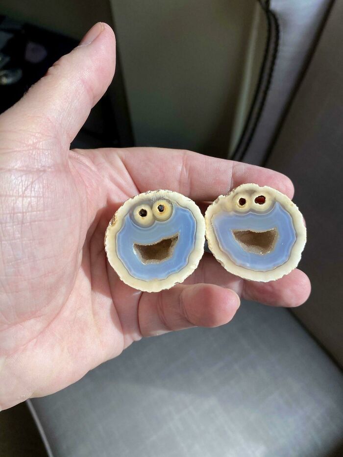 Un geólogo encontró una formación dentro de una roca que se ve exactamente como el Monstruo de las Galletas de Plaza Sésamo