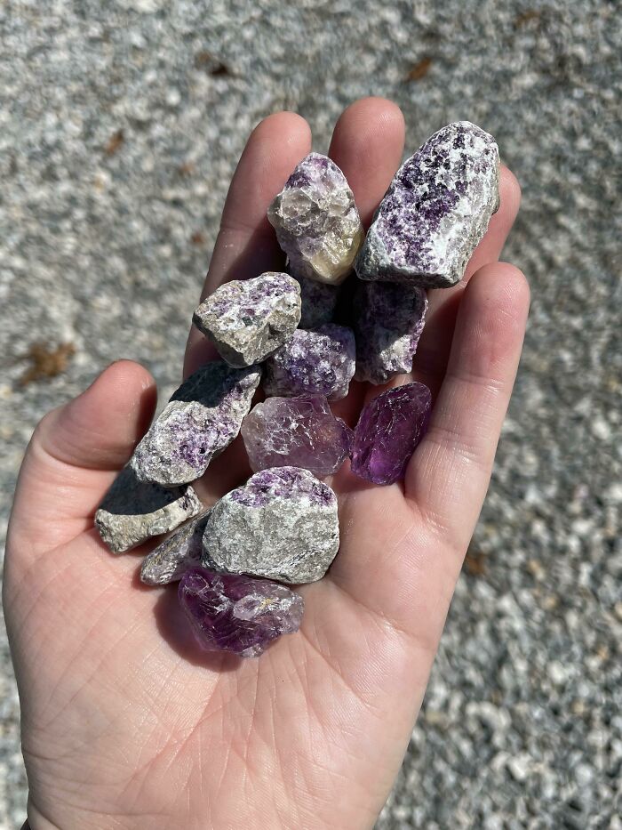Encontré piezas de amatista en una nueva entrada de acceso de grava 