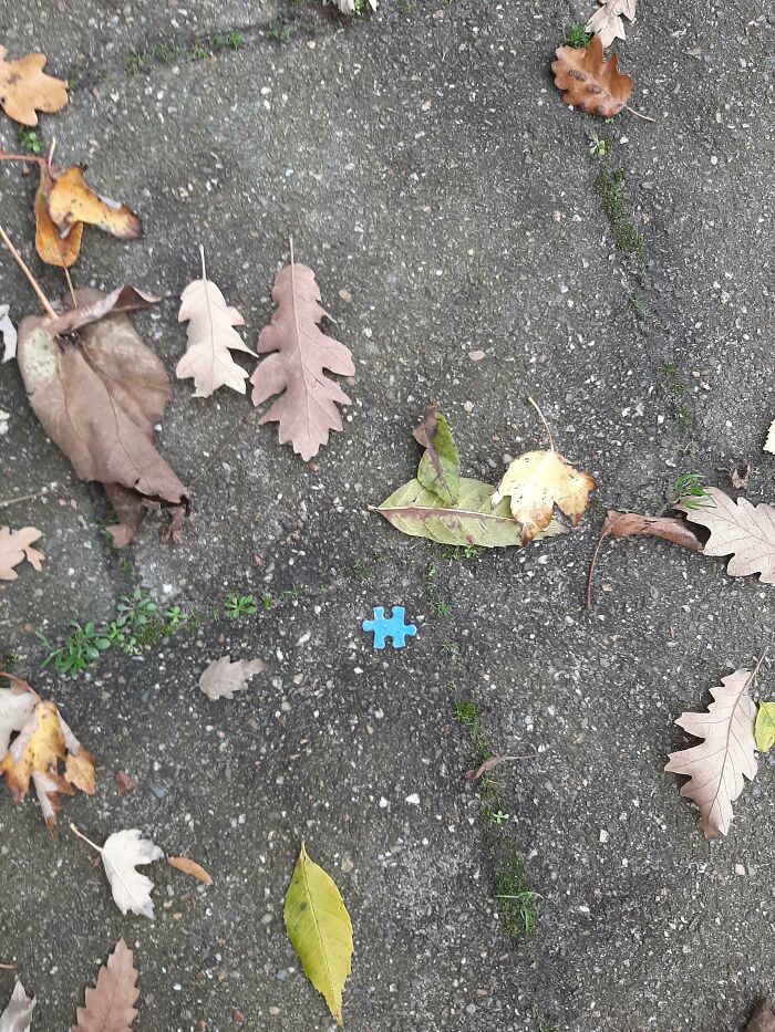  Encontré esto afuera. El día de alguien está arruinado