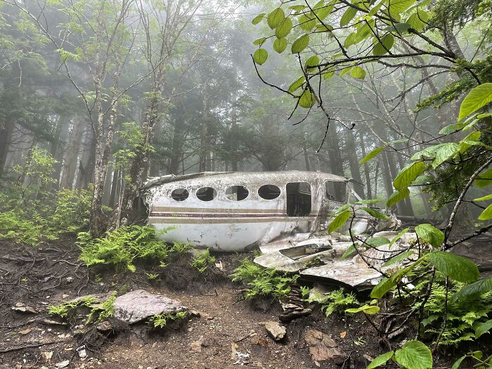 Un avión estrellado al que llegué caminando en Carolina del Norte