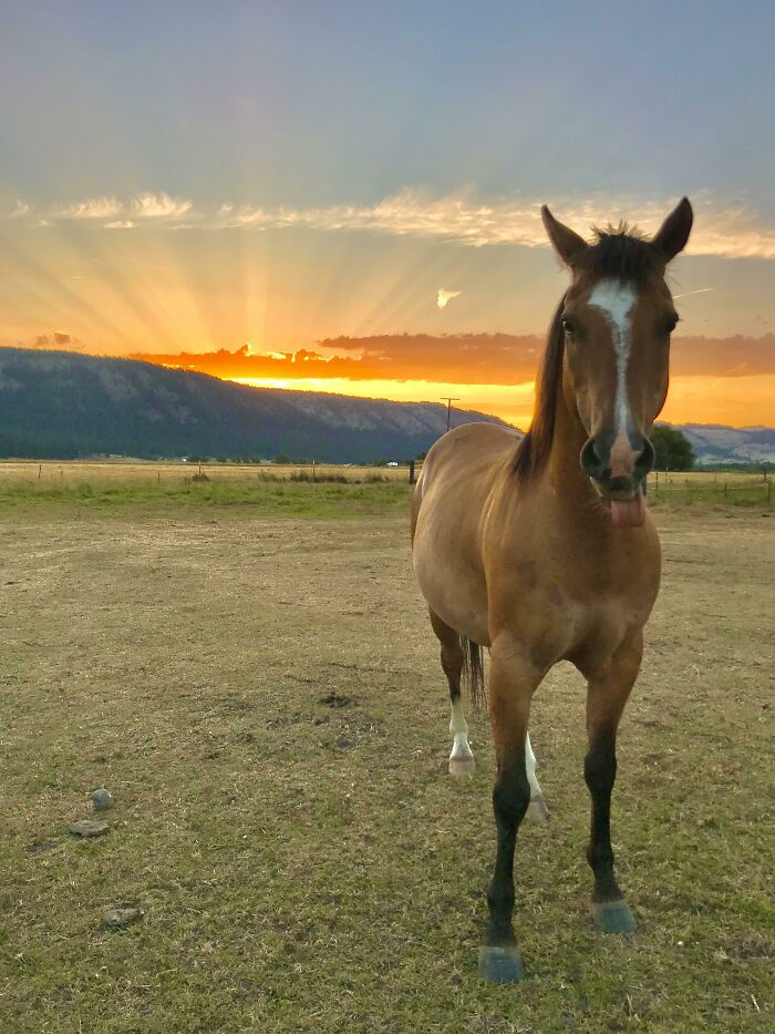 Al atardecer