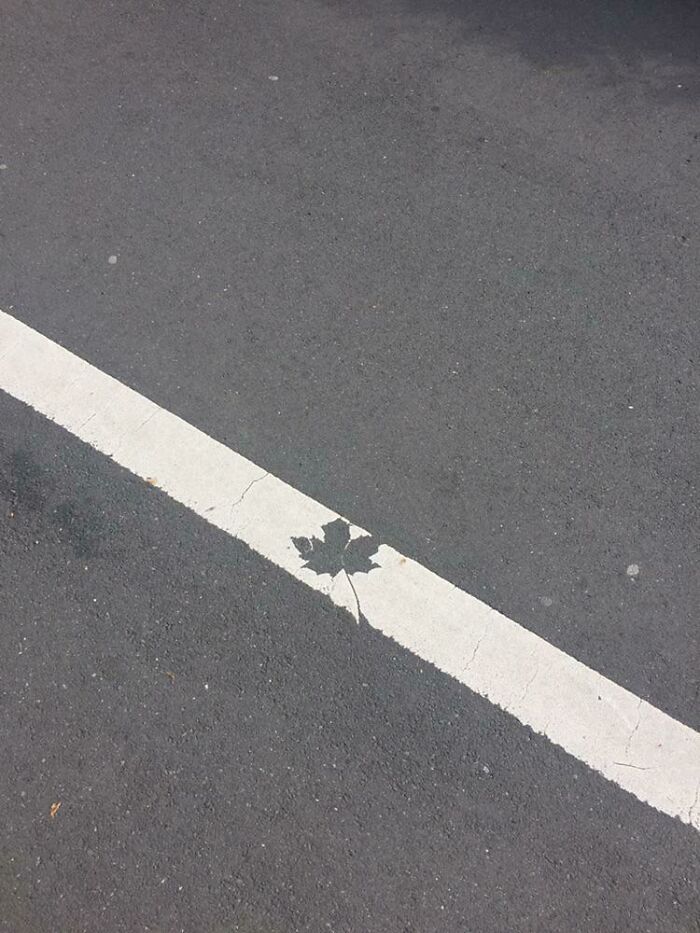 Y lo dejaron así