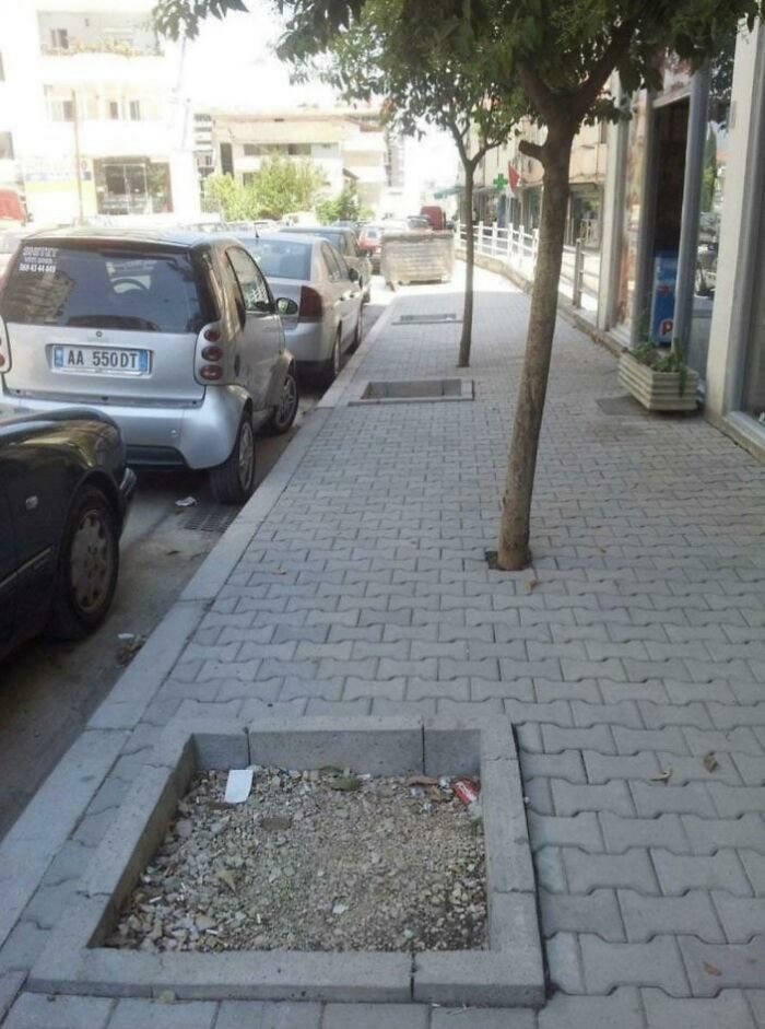 ¿Quién hizo esto?