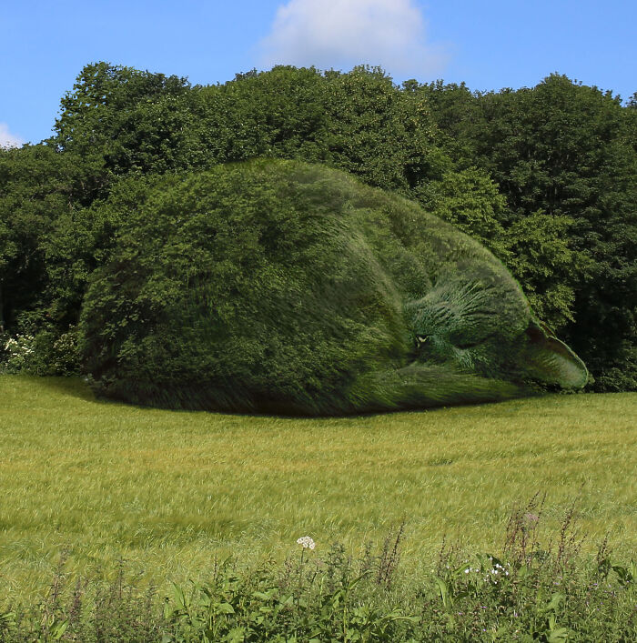 This 75-Year-Old Artist Creates Edits Of Bushes In Honor Of His Deceased Cat