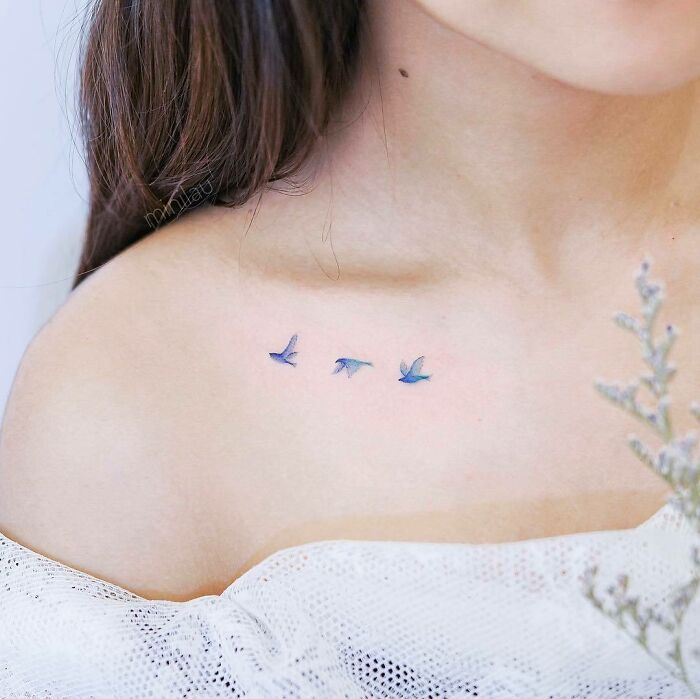 Pájaros azules