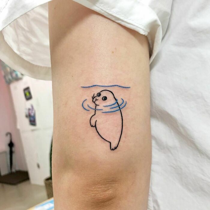 Una foca