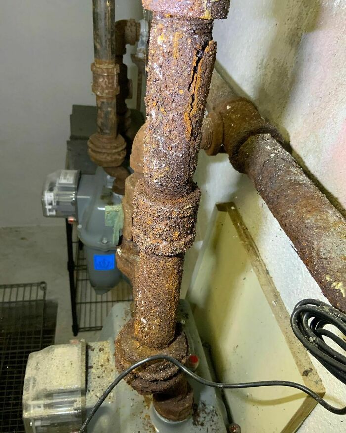 ¿Quién se echó un pedo? ¡Oh, olor a gas equivocado!