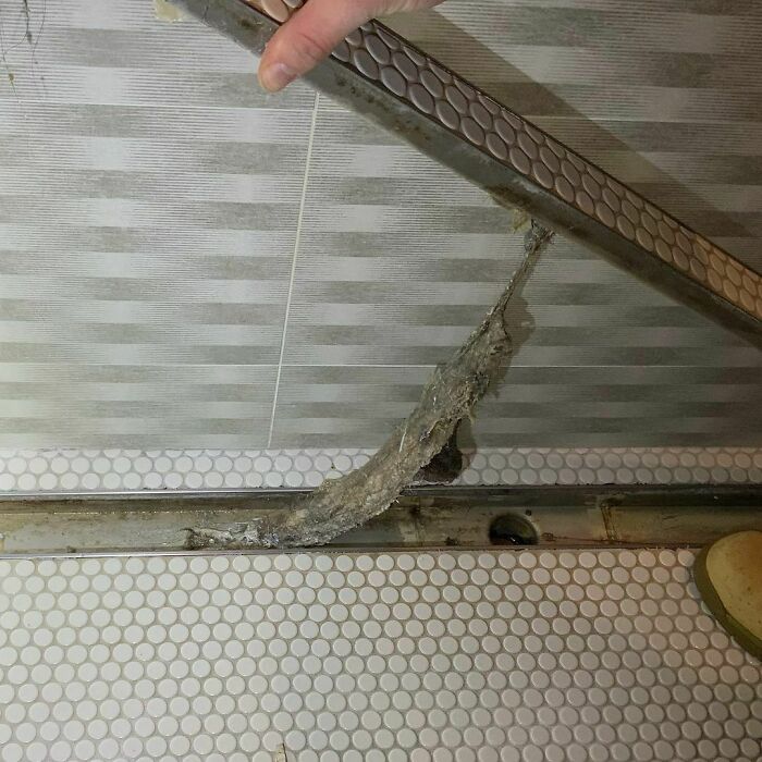 Recuerda limpiar el drenaje de tu ducha