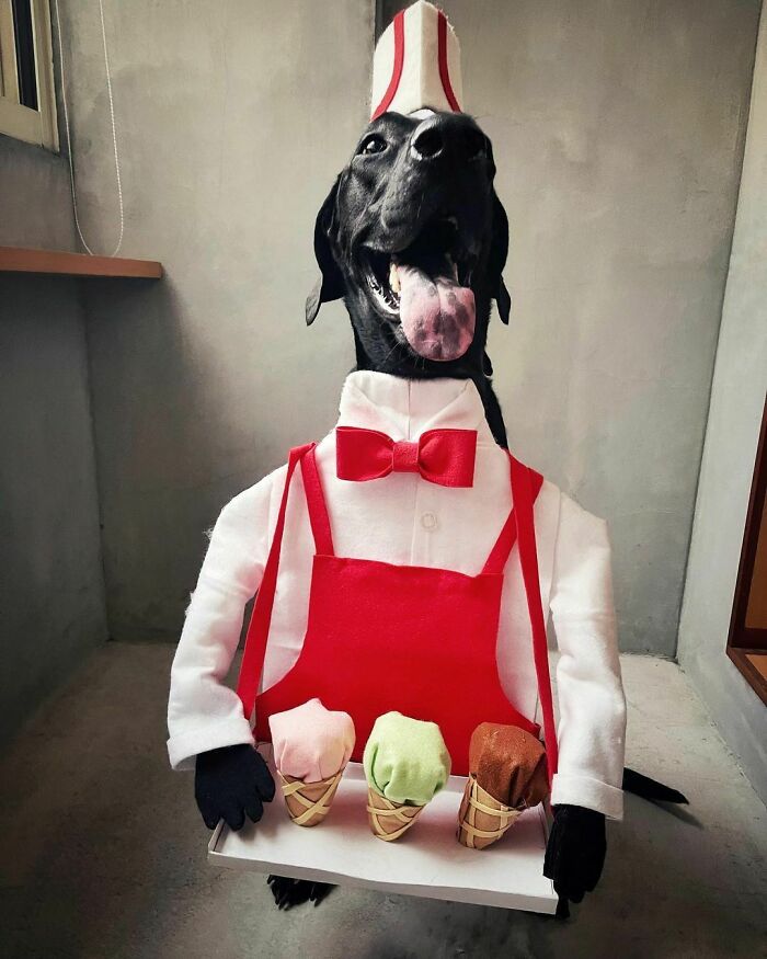 "¿Qué helado desea?"