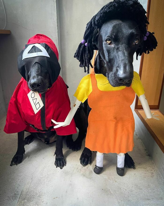 Recientemente hemos estado viendo esta serie de televisión. He preparado un disfraz rápido sólo por diversión. Es un disfraz fácil de hacer para Halloween si te quedas sin ideas