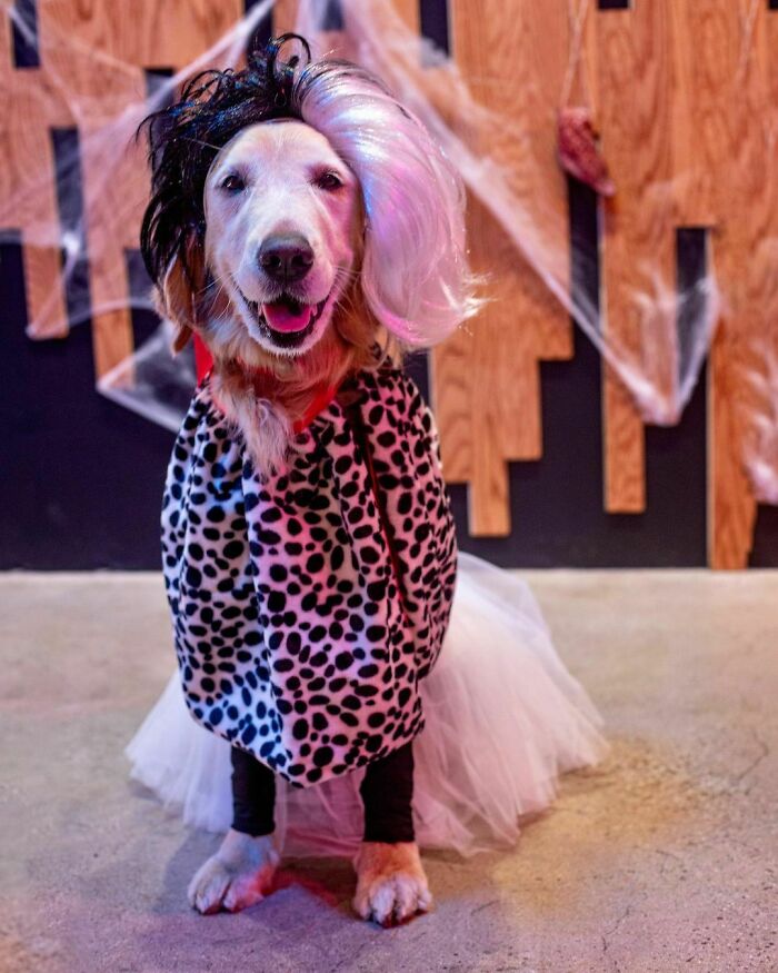 Cruella De Vil