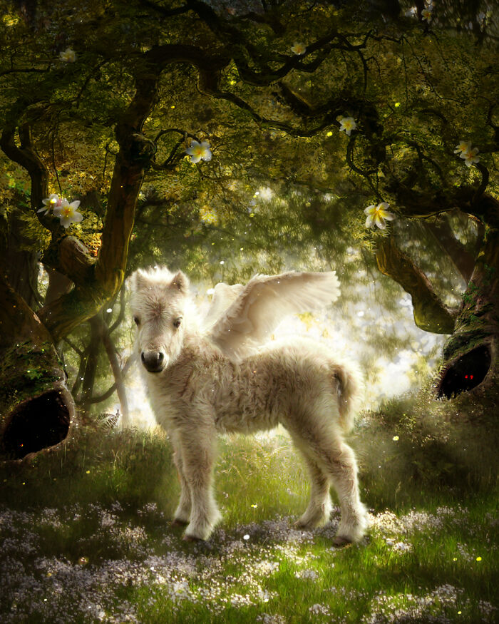 Designers Combined Animals Together And Some Of Them Are So Bad They’re Funny (30 Pic)
