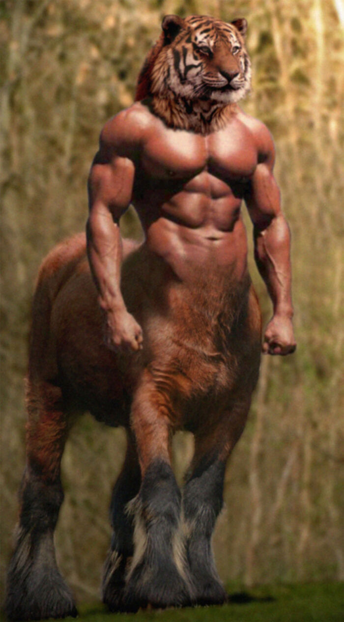 Designers Combined Animals Together And Some Of Them Are So Bad They’re Funny (30 Pic)