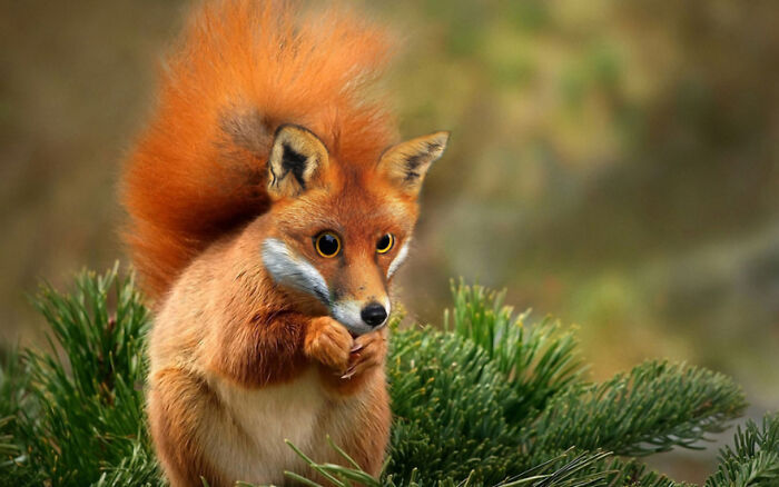 Designers Combined Animals Together And Some Of Them Are So Bad They’re Funny (30 Pic)
