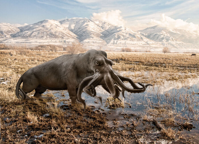 Designers Combined Animals Together And Some Of Them Are So Bad They’re Funny (30 Pic)