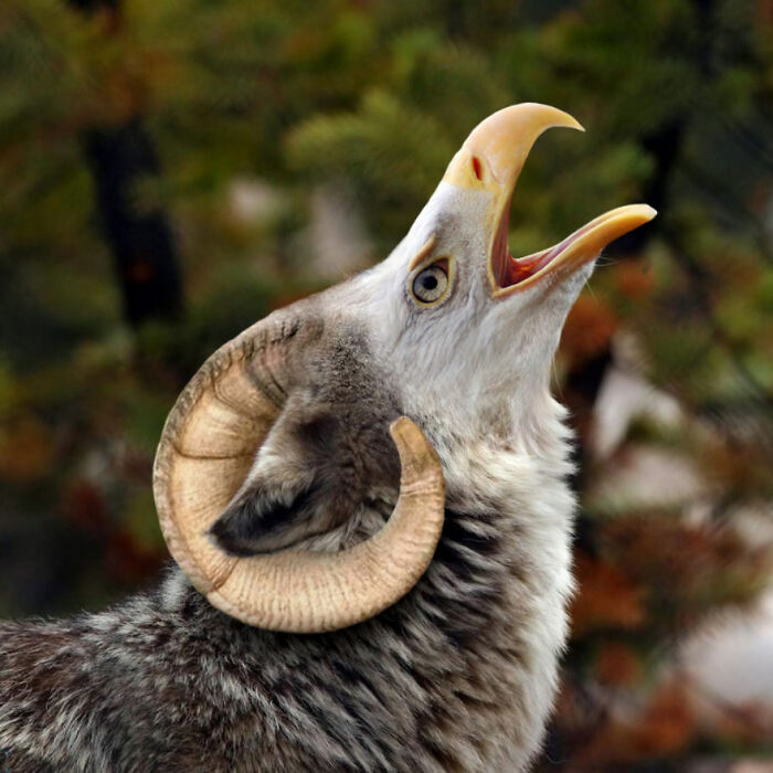 Designers Combined Animals Together And Some Of Them Are So Bad They’re Funny (30 Pic)