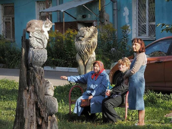 This Is What Russia Really Looks Like: 40 Honest Photos By Aleksandr Petrosyan (New Pics)