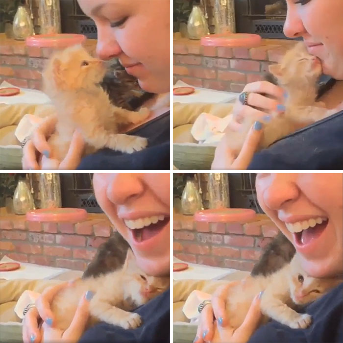“Te amo, humano”