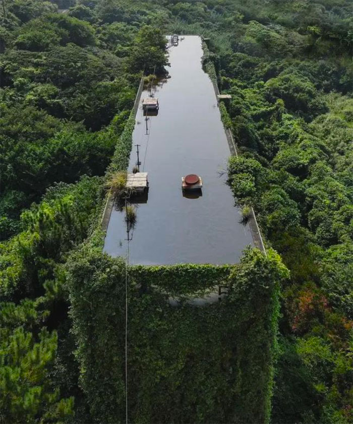 La naturaleza se adueña de este edificio industrial abandonado pero le agrega una piscina en el techo 