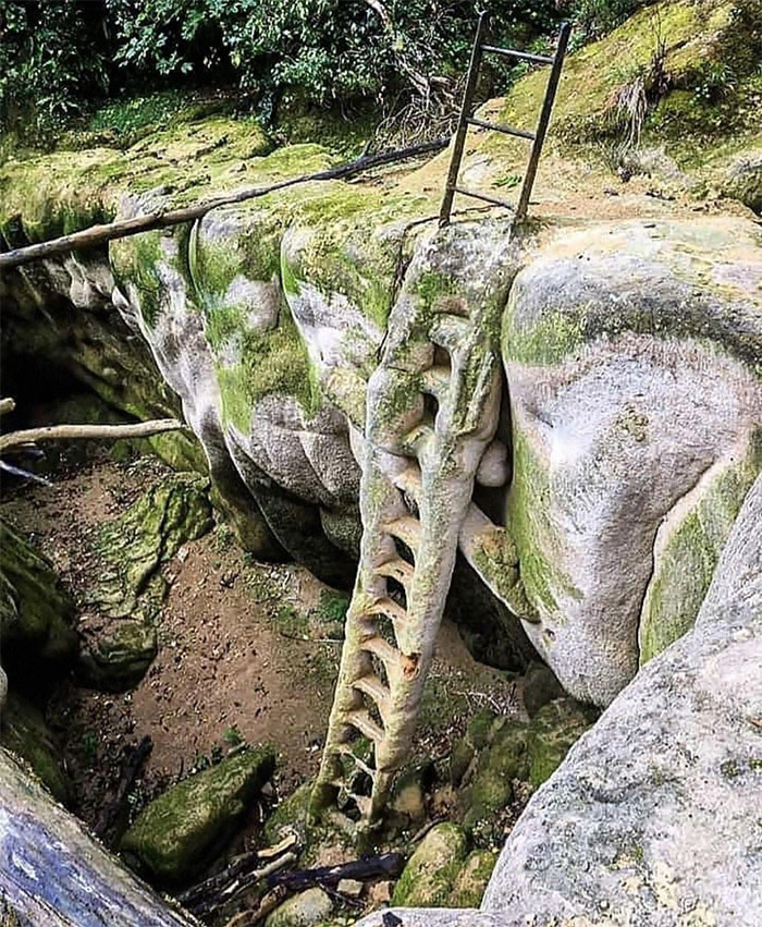 Escalera petrificada en Francia