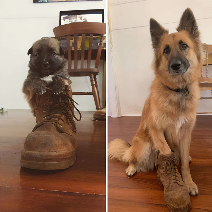Tres años de diferencia, la misma bota