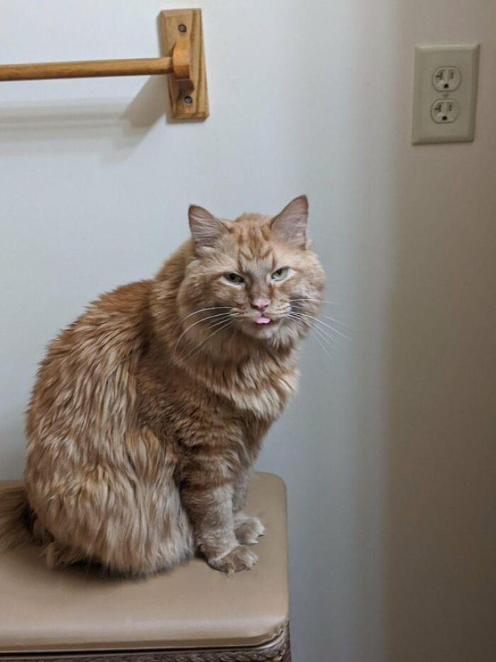 Sacando la lengua de forma pícara