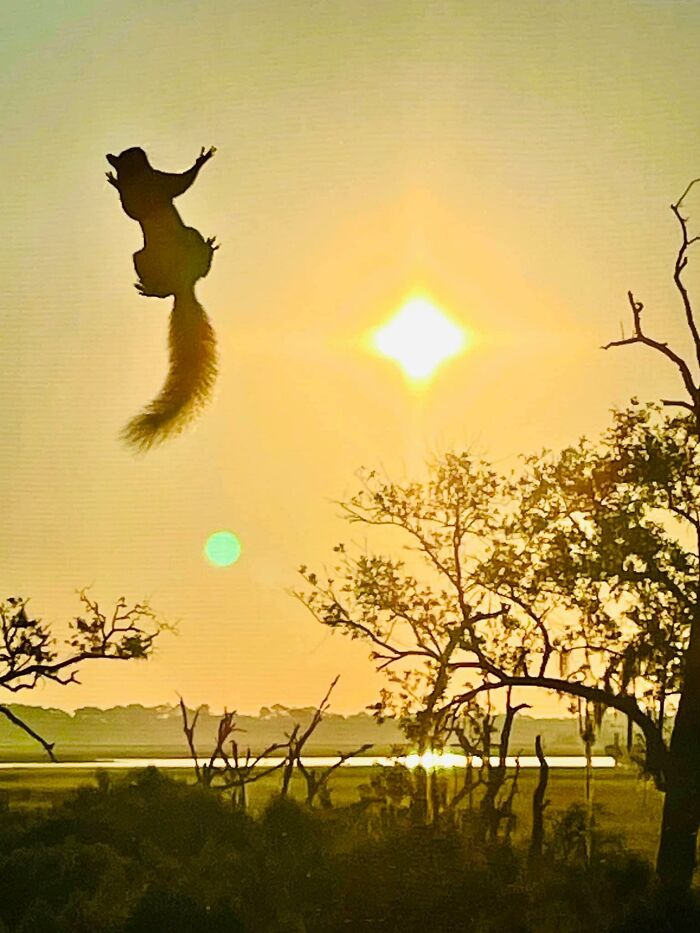 Yo: Mira ese bonito amanecer... Ardilla: ¡Sujeta mi cerveza!