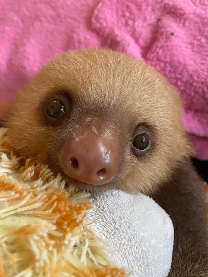 Bebé adorable