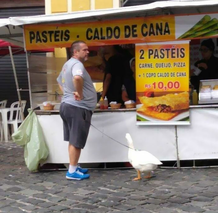 Mascota brasileña