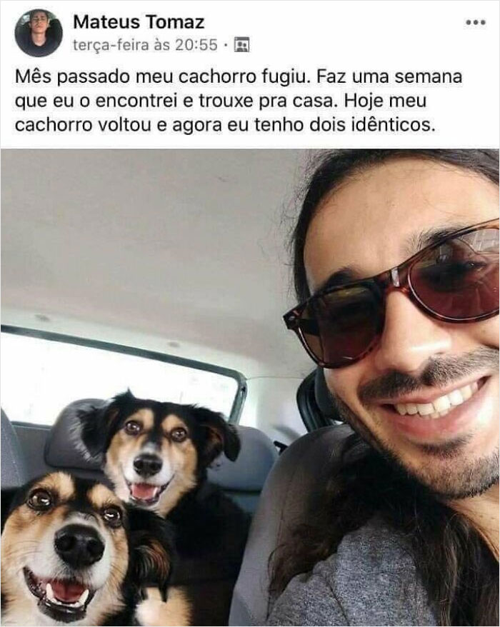 Mi perro se escapó el mes pasado y volví a encontrarlo hace una semana. Hoy mi perro regresó a casa y ahora tengo dos cachorros idénticos