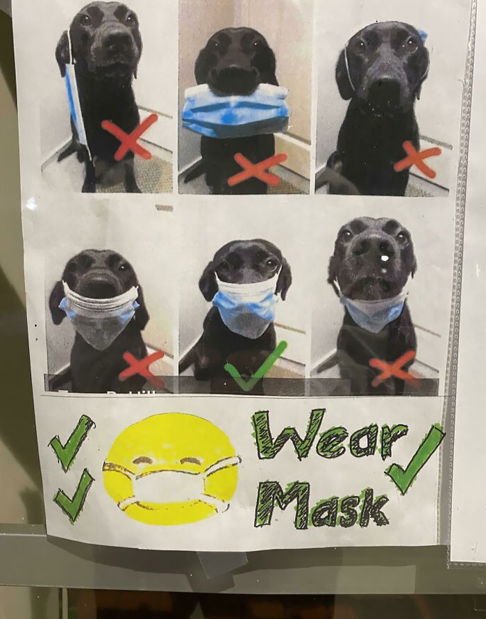 Esto estaba fuera de la oficina de mi veterinario local. Me alegró el día y espero que te lo alegre a ti
