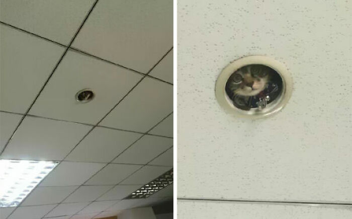 Una foto que me envió un colega