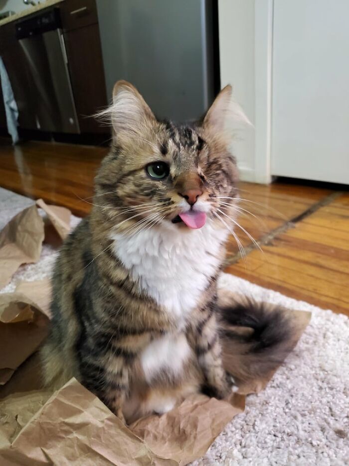 ¡Sacando la lengua en proporciones épicas!