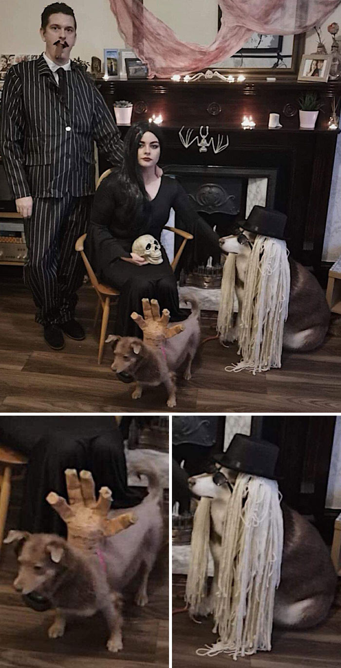 Feliz Halloween de parte de la familia Addams