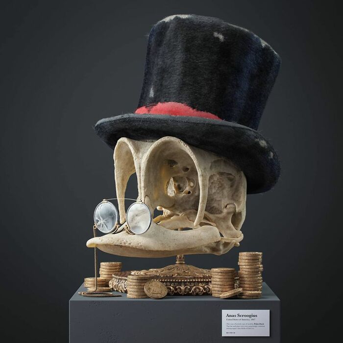 Anas Scroogius