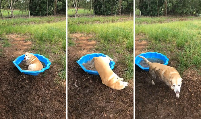 ¿Conocéis a Ted?