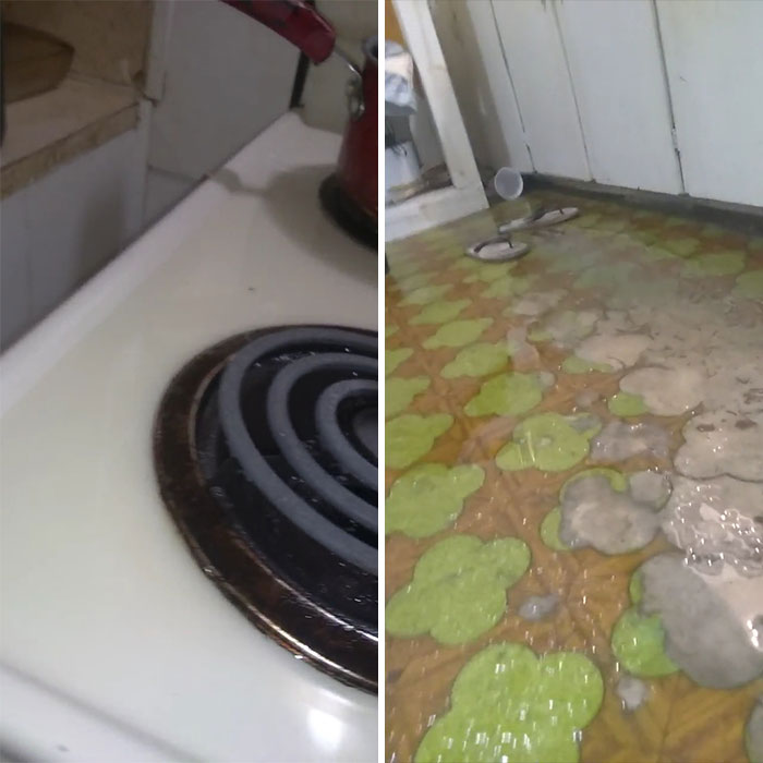Esto es un galón de aceite vegetal. Ayuda