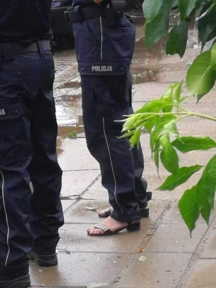 40 Photos From Polish Social Media Profiles That Raise As Many Questions As They Provide Answers