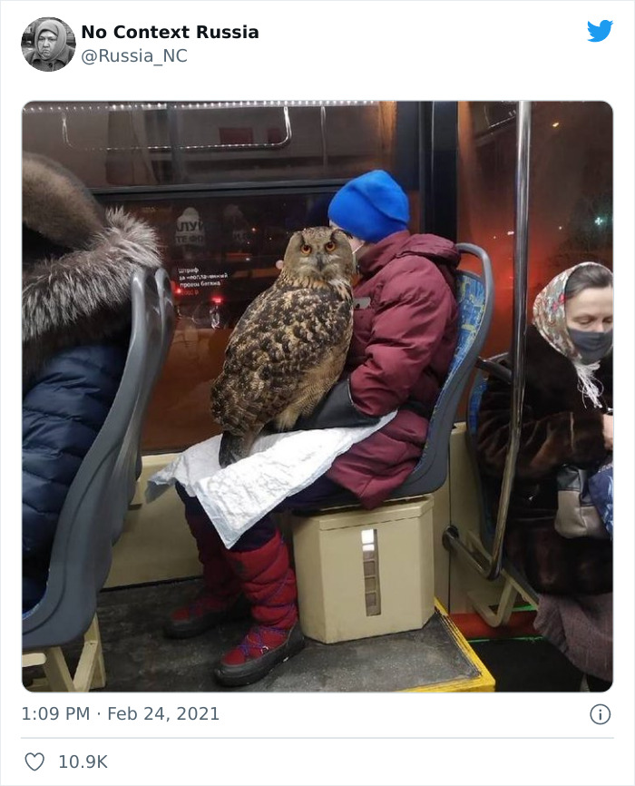 “No Context Russia:” 40 Pics That Prove Russia Is Unlike Any Other Country