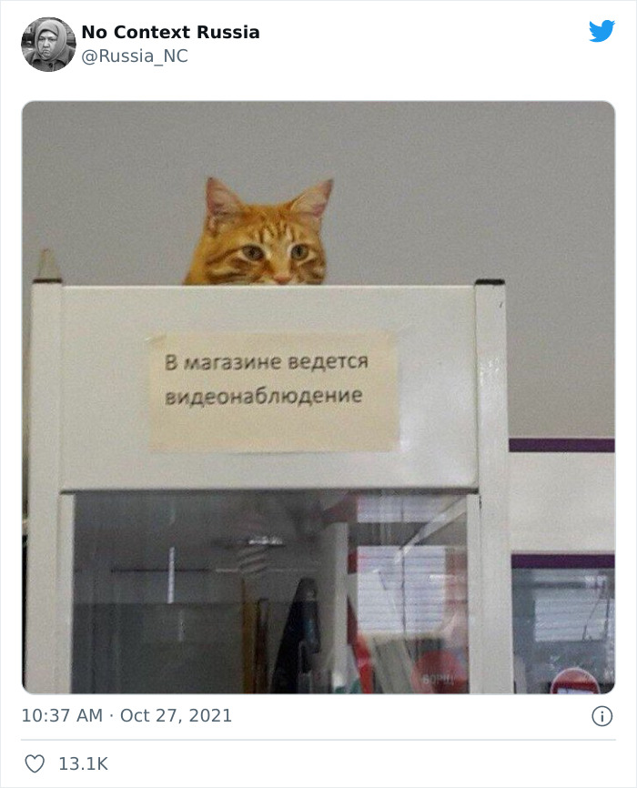“No Context Russia:” 40 Pics That Prove Russia Is Unlike Any Other Country