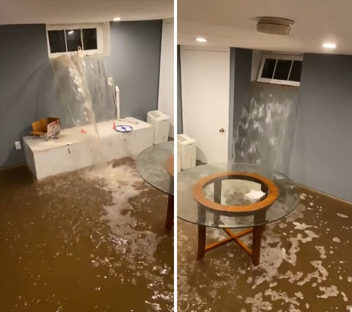 Consigue un apartamento en un sótano en Nueva York decían. Será divertido decían