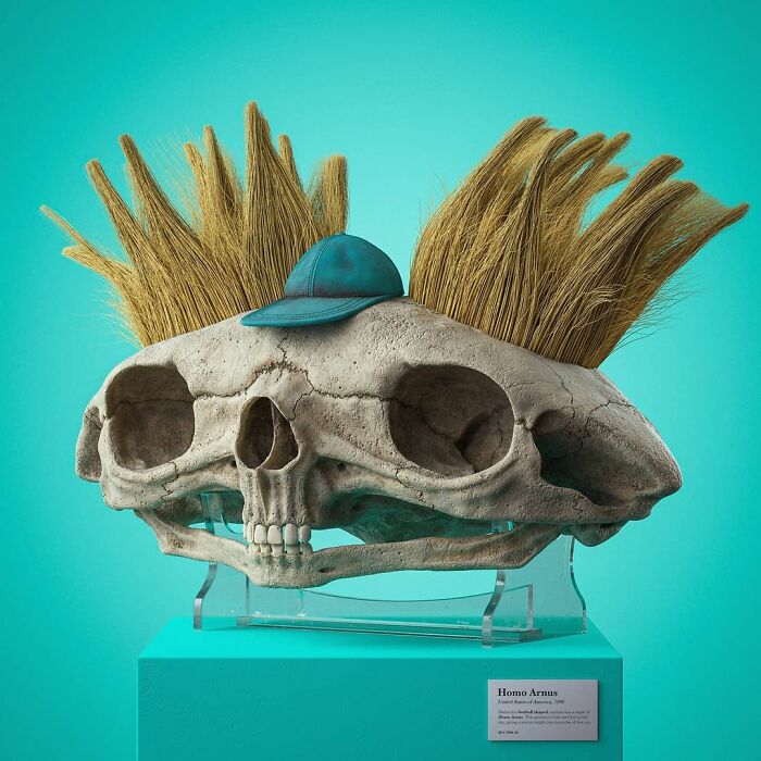 Homo Arnus