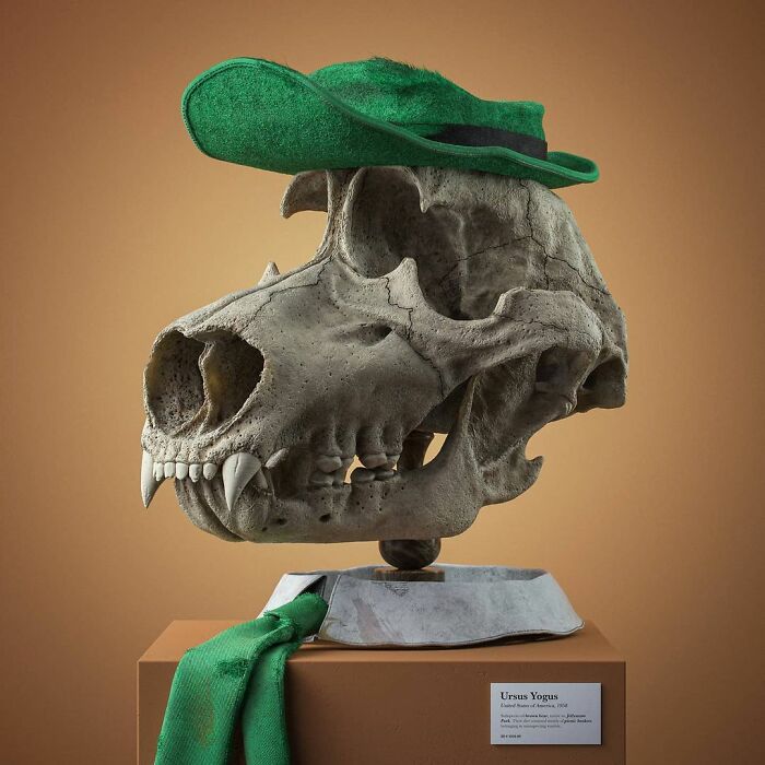 Ursus Yogus