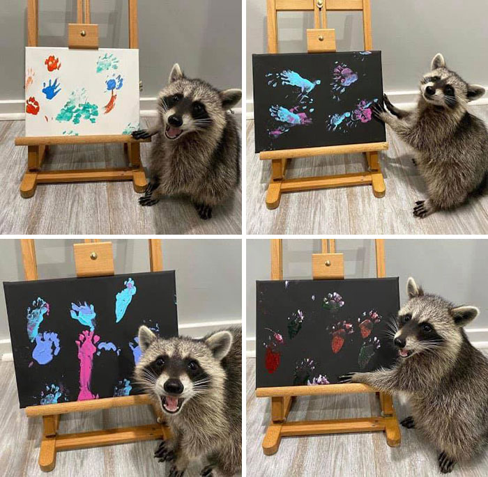 This Page Collects Photos Of 'Animals With Threatening Auras' (40 New Pics)