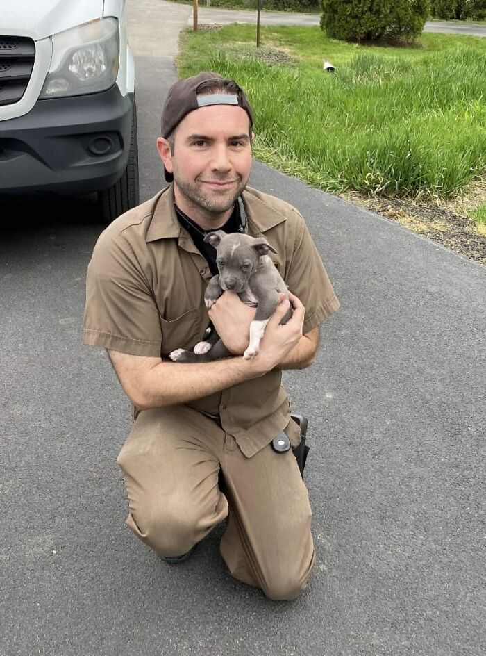 Turns Out, UPS Drivers Have A Facebook Group About Dogs They Meet On Their Routes, And It Will Make Your Day (30 New Pics)